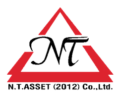 N.T. Asset (2012)